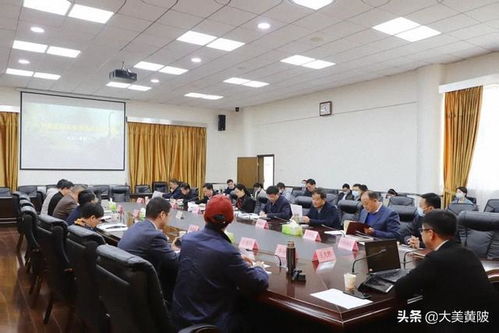 區(qū)領(lǐng)導(dǎo)專題聽取武漢中華恐龍園旅游度假區(qū)項目設(shè)計方案匯報