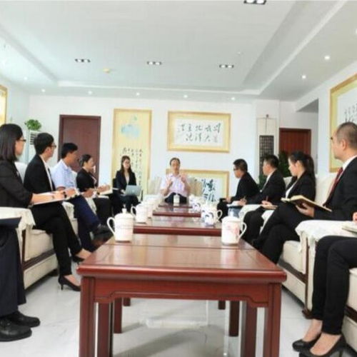 電競項目商業(yè)計劃書范例及會議展覽服務(wù)規(guī)劃