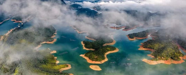 總投資約42億元！永定區簽約兩大項目，擘畫生態文旅新藍圖